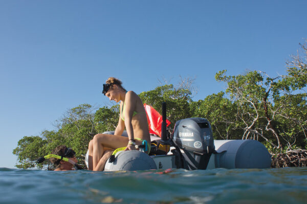 Yamaha 15hp Outboard | F15SEHA - Image 3